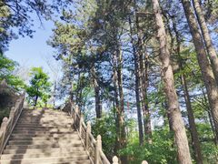 -九华山风景区-东崖禅寺