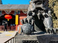 -香山公园