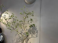 -喜茶(广州佳兆业广场店)