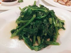 清炒豆苗-苏浙汇(朝外店)