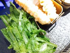 -Darling Queen·Mini·Live·House