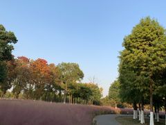 -南湖湿地公园