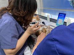 -伟伟宠物医院·CT影像中心·瑞派犬猫综合性门诊(汉口总院)