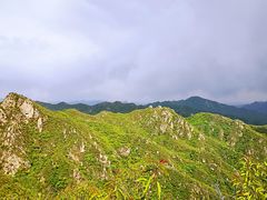 -大岭沟猕猴桃谷风景区