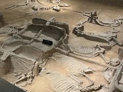 -洛阳周王城天子驾六博物馆