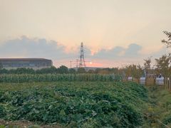 -菊园百果园