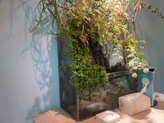 -默迹咖啡馆