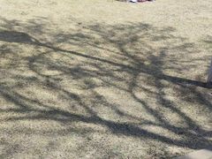 -泰丰公园