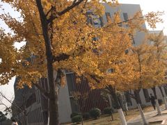 -南京航空航天大学(将军路校区)