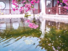 -莫愁湖公园