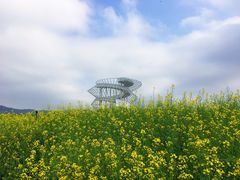 -光明小镇欢乐田园