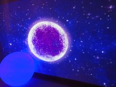 -星空失恋博物馆(北京路旗舰店)