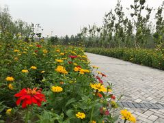 -东郊湿地公园
