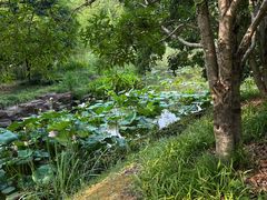 -金科路(地铁站)