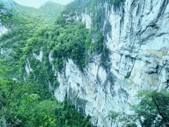 -百色大石围天坑群