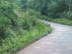 -重庆彩云湖湿地公园