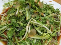 -春芳饺子馆(海德公园店)