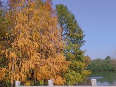 -上海海湾国家森林公园