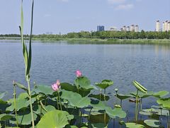 -水西公园