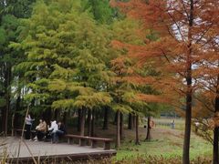 -苏州太湖国家湿地公园