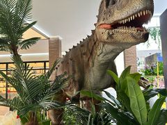 -宁波杉井奥特莱斯广场