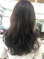 -镁连社·美联社