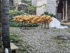 -前童古镇