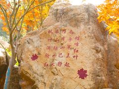 -广州市帽峰山景区