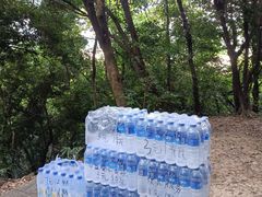-火炉山森林公园