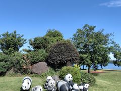 -余姚四明湖开元名都度假酒店·夏威夷西餐厅