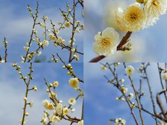 -天鹅湖体育公园