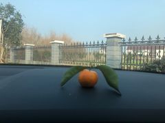 -中国石化东台服务区（沈阳方向）加油站