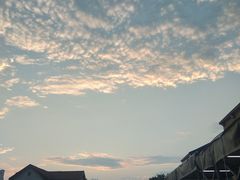 -大锅强·蒸海鲜青岛菜(吾悦广场店)