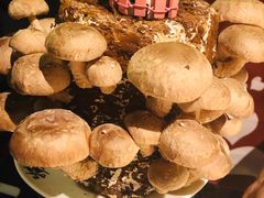 活体菌菇-捞王锅物料理(凯旋路店)