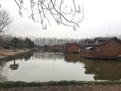 -金岛生态园烧烤露营地