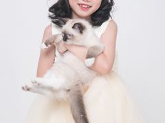 -iF摄影•全家福•证件照•形象照(南山店)