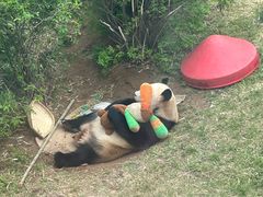 -大连森林动物园