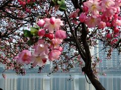 -莫愁湖公园