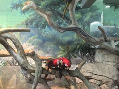 -福州罗源湾海洋世界旅游区