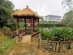 -元鼎宝驴香·全驴宴(江宁店)