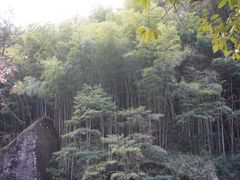 -黄山翡翠谷景区