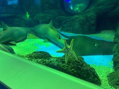 -常州海昌海洋探索馆