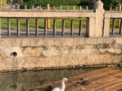 -南普陀寺