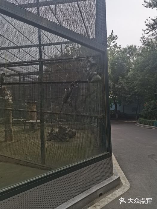 郑州市动物园图片