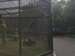 -郑州市动物园