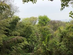 -南京市江宁方山