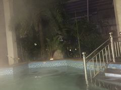 -泰华博悦大酒店