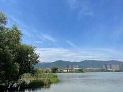 -长兴太湖图影湿地文化园