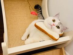 -iF摄影•全家福•证件照•形象照(南山店)