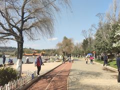 -洛龙公园
